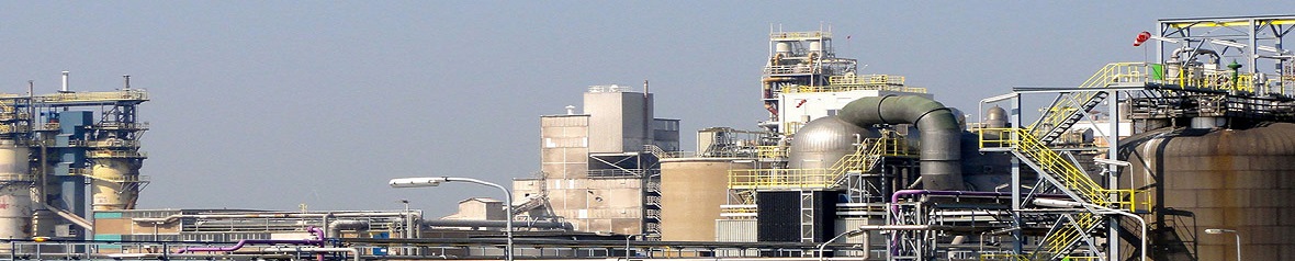 关于我们 About Us